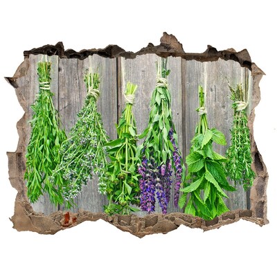 Hole wall sticker Herb garden behind the wall