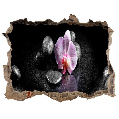 Hole wall sticker Orchid flower surrounded by stones