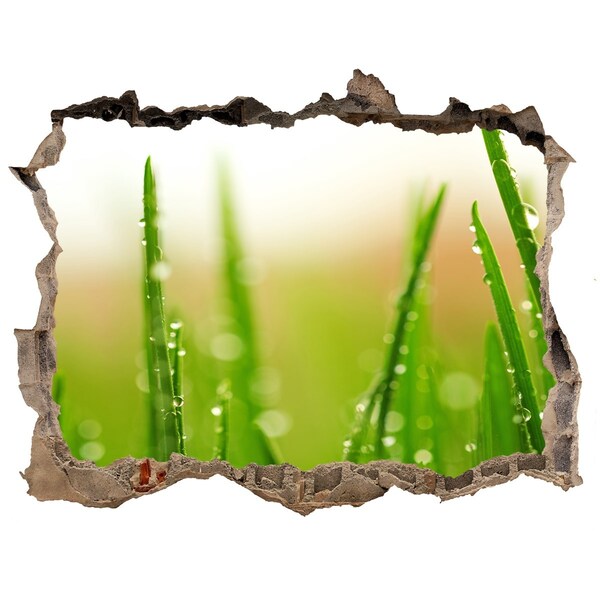 Hole in the wall sticker Green meadow with drops of water