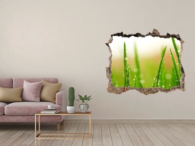 Hole in the wall sticker Green meadow with drops of water
