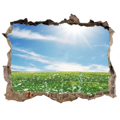 Hole in the wall sticker A flower meadow under a blue sky