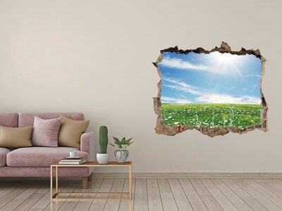 Hole in the wall sticker A flower meadow under a blue sky