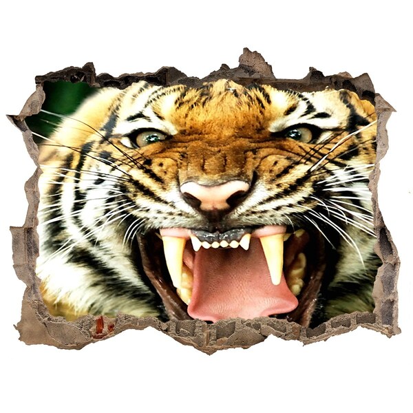 Hole in the wall decal Roaring tiger