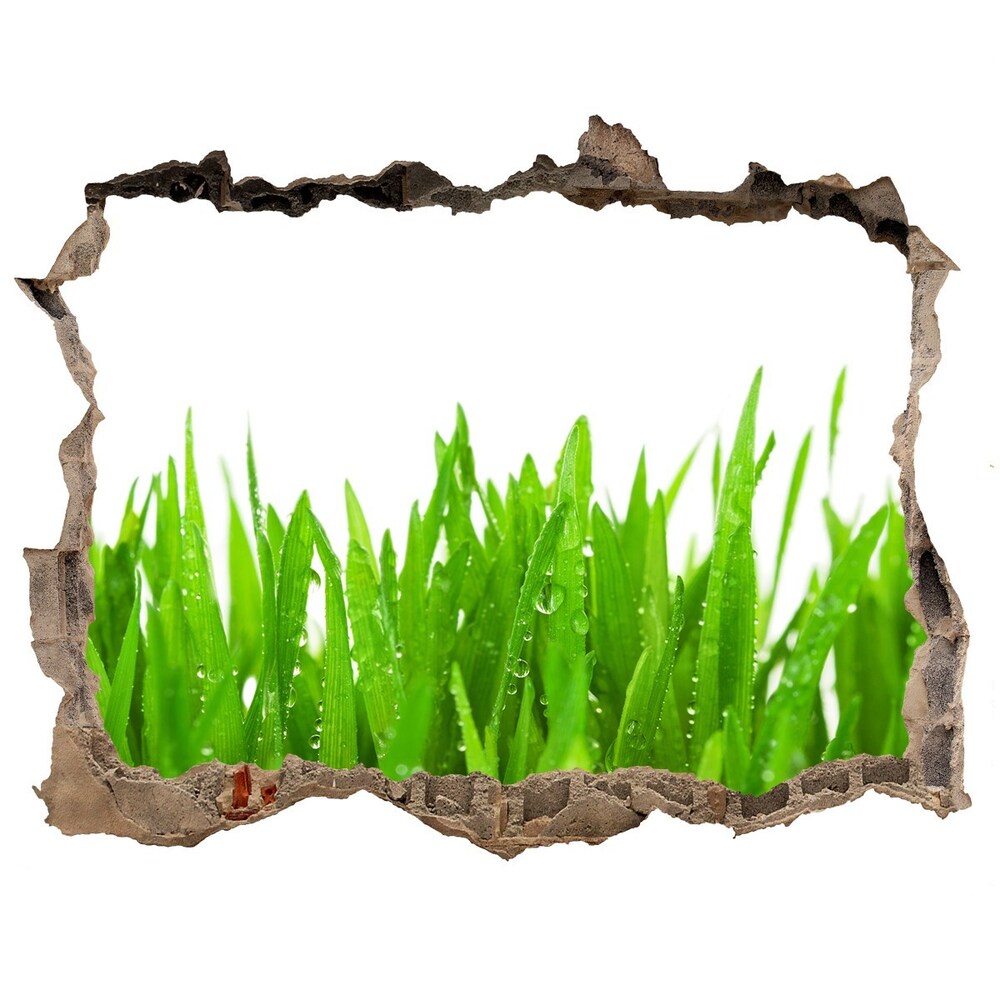 Hole in the wall sticker Grass