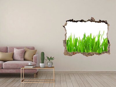 Hole in the wall sticker Grass