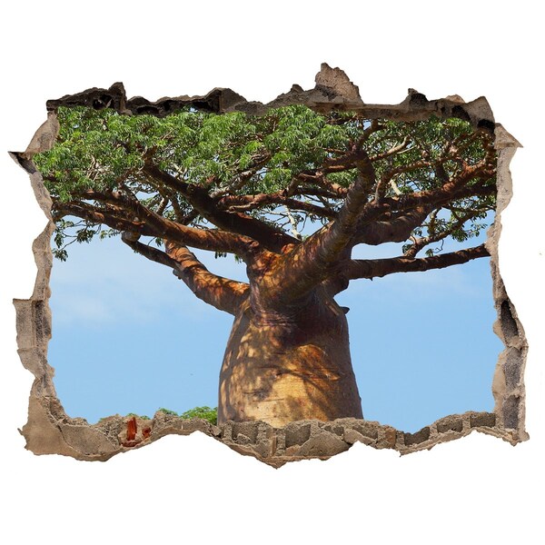 Hole in the wall sticker Baobab in a hole in the wall
