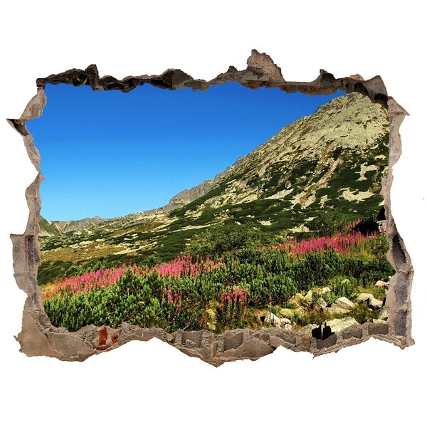 Hole in the wall decal Mountain landscape in a hole in the wall