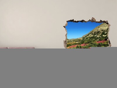 Hole in the wall decal Mountain landscape in a hole in the wall