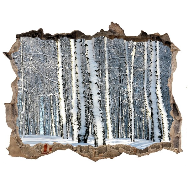 Hole in the wall decal Winter forest in white