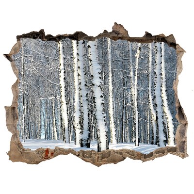 Hole in the wall decal Winter forest in white