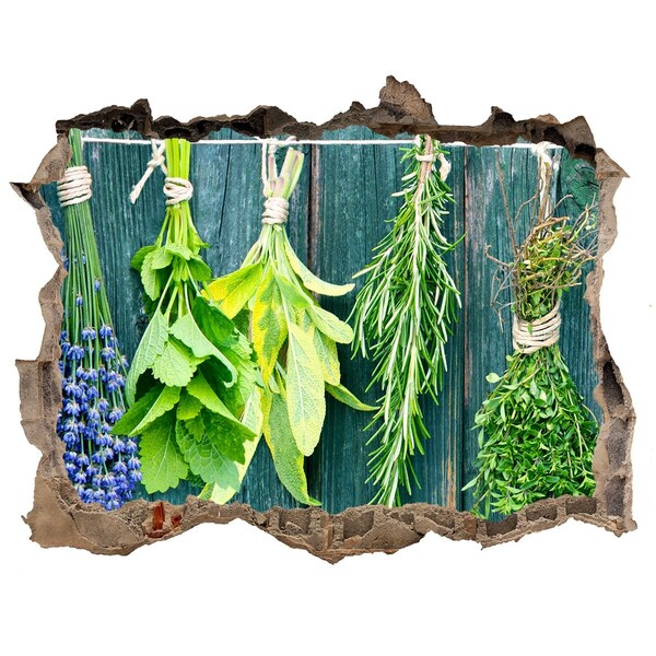 Hole in the wall decal Herb garden in the kitchen