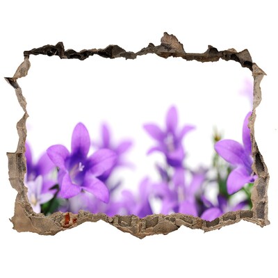 3D wall hole Purple bells