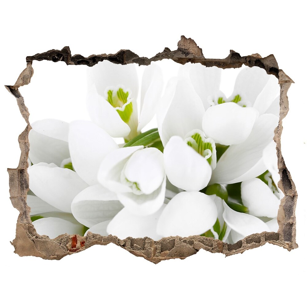 Hole wall sticker Snowdrops