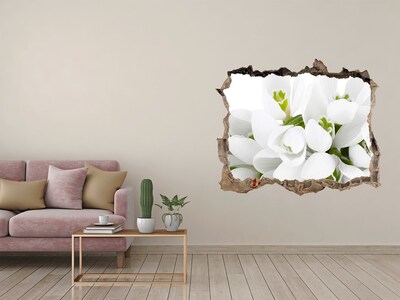 Hole wall sticker Snowdrops