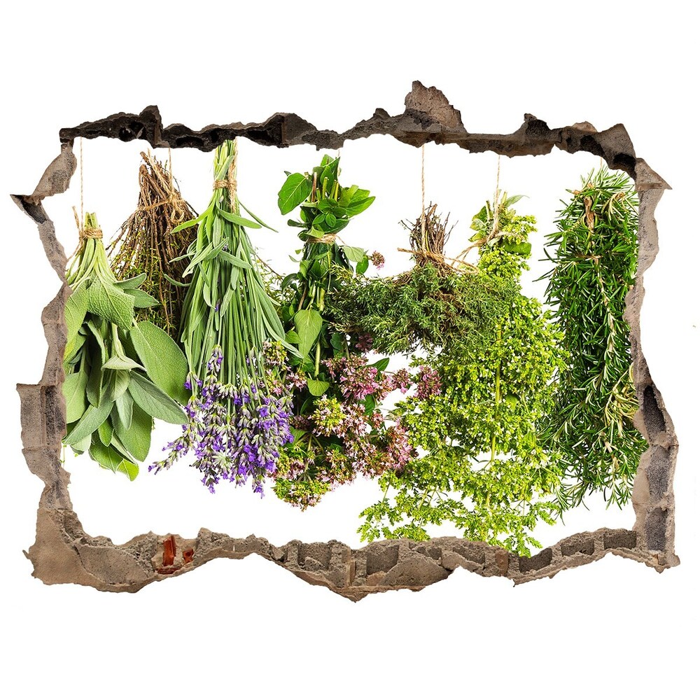 3D wall hole Herbs on a string