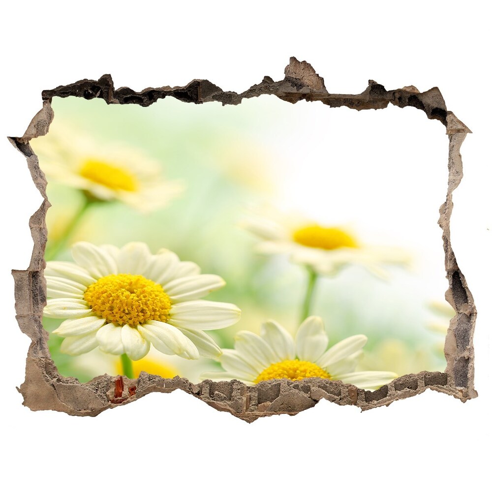 Hole wall sticker Daisy