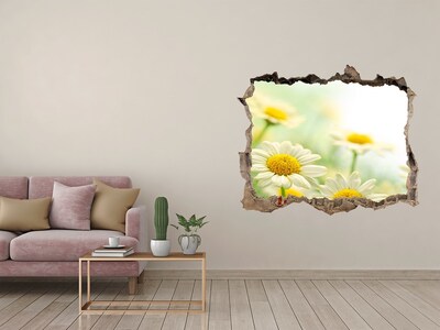 Hole wall sticker A flower paradise behind the wall