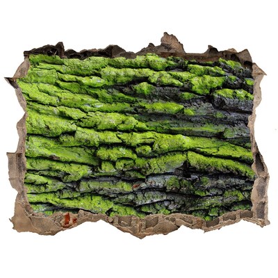 3D wall hole wallpaper Tree bark