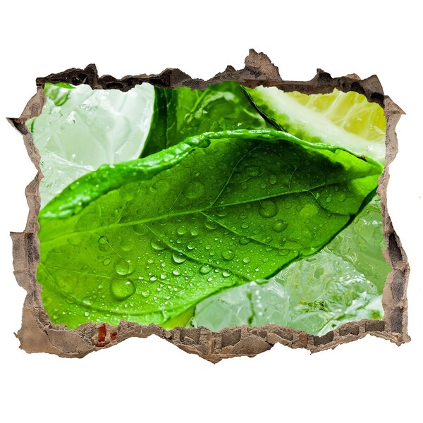 Hole wall sticker Fresh mint leaves on ice