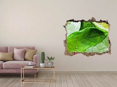 Hole wall sticker Fresh mint leaves on ice