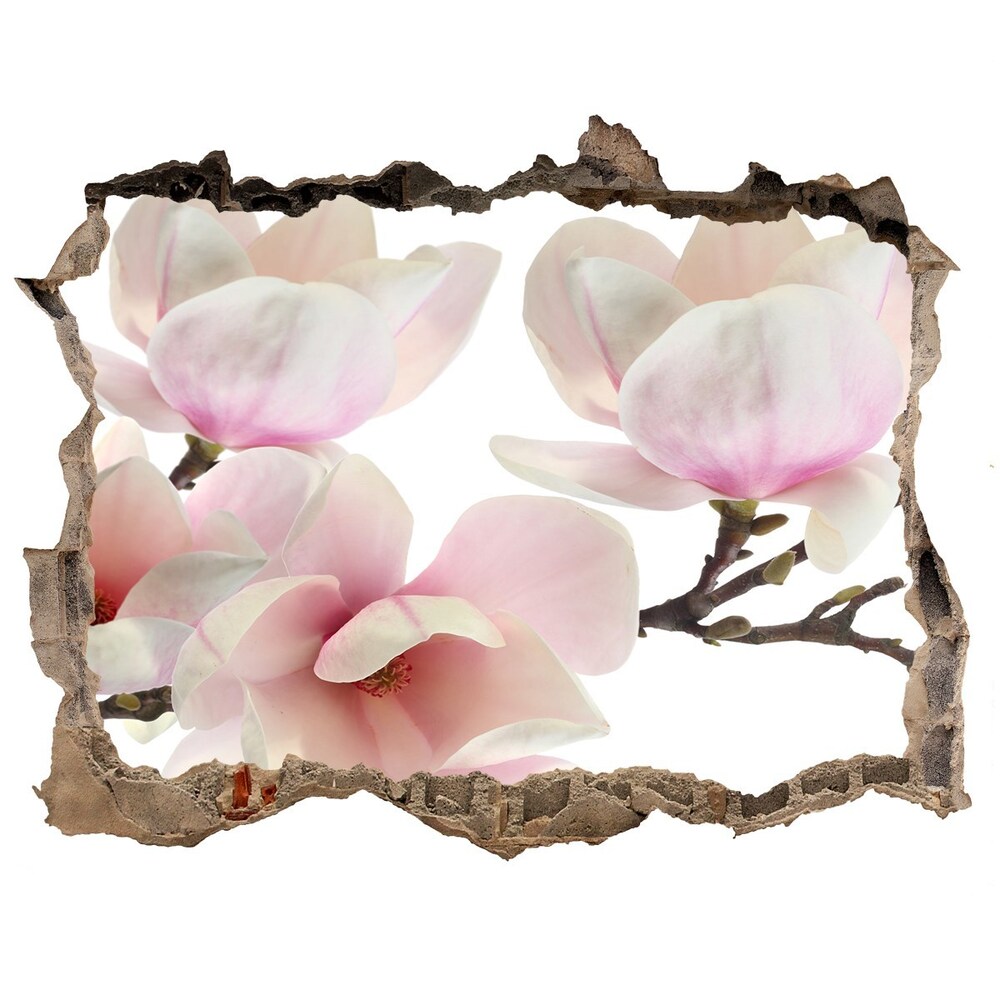 Hole wall sticker Magnolia