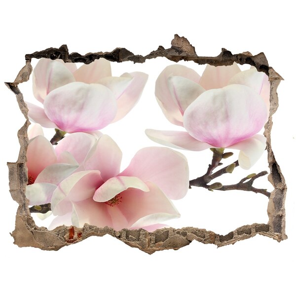 Hole wall sticker Magnolia flowers through a hole in the wall