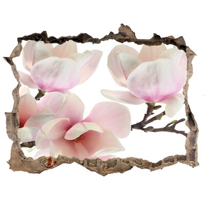 Hole wall sticker Magnolia flowers through a hole in the wall