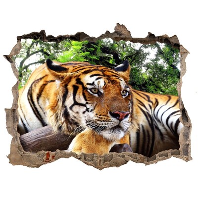 Hole in the wall decal Tiger on the rock