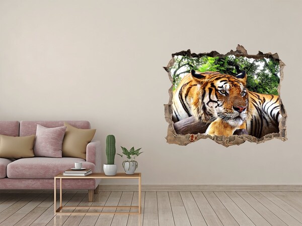 Hole in the wall decal Tiger in the jungle