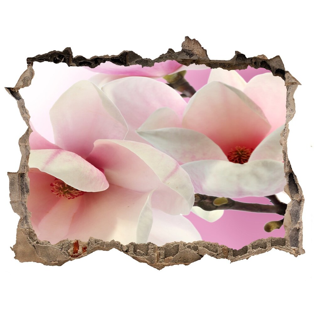 Hole in the wall sticker Magnolia