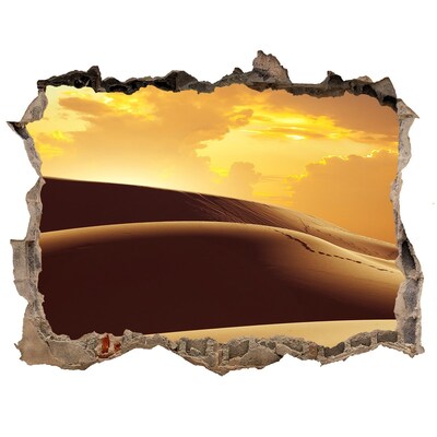 Hole wall sticker Desert landscape at sunset