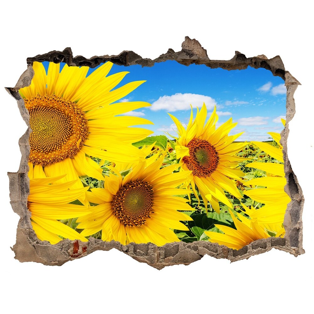 Hole in the wall decal Sunflowers