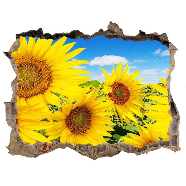 Hole in the wall decal A flower paradise with sunflowers