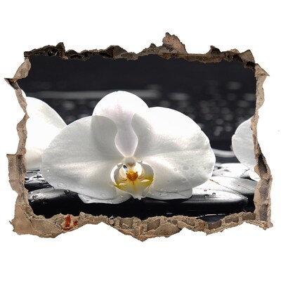 3D wall hole Orchid flower on the water