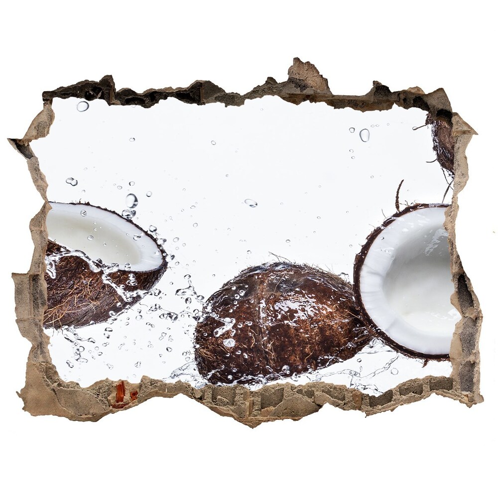 3D wall hole Coconut with water