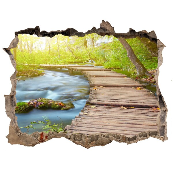 3D wall hole wallpaper Forest path by the river