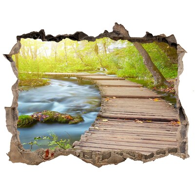 3D wall hole wallpaper Forest path by the river
