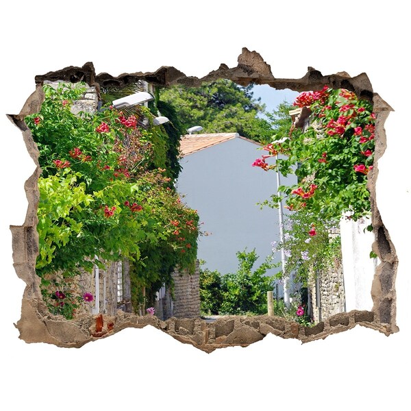 Hole in the wall sticker A charming street with flowers