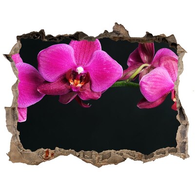 3D wall hole wallpaper Orchid through the wall