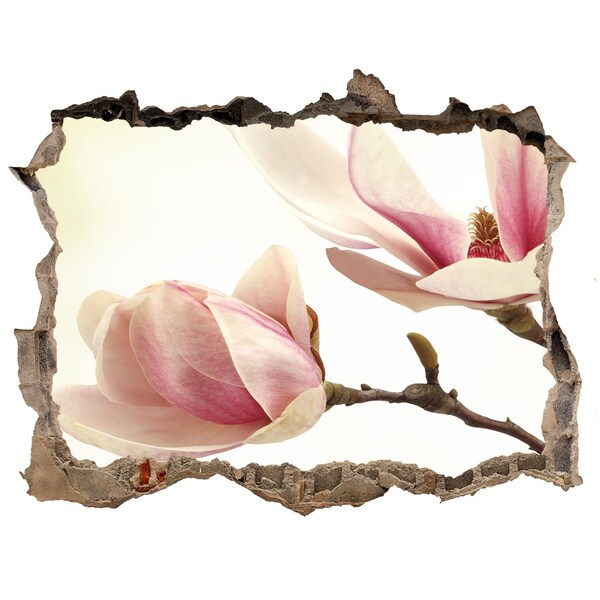 Hole in the wall decal Magnolia flower in concrete