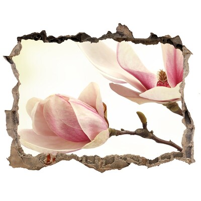 Hole in the wall decal Magnolia flower in concrete
