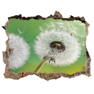 Hole in the wall decal Dandelions in a green background