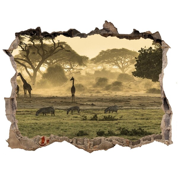 Hole wall sticker African savanna with giraffes and zebras