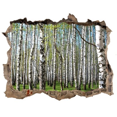 Hole in the wall sticker Birch forest