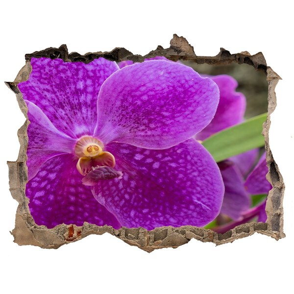 Hole in the wall sticker Orchid flower in a hole in the wall