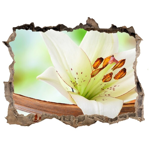 Hole in the wall sticker A floral oasis in concrete