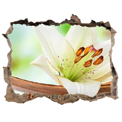 Hole in the wall sticker A floral oasis in concrete