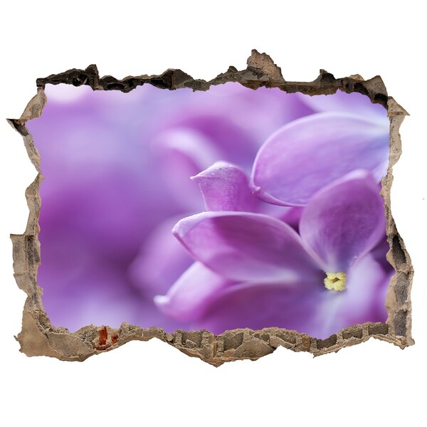 Hole wall sticker Lilac flowers