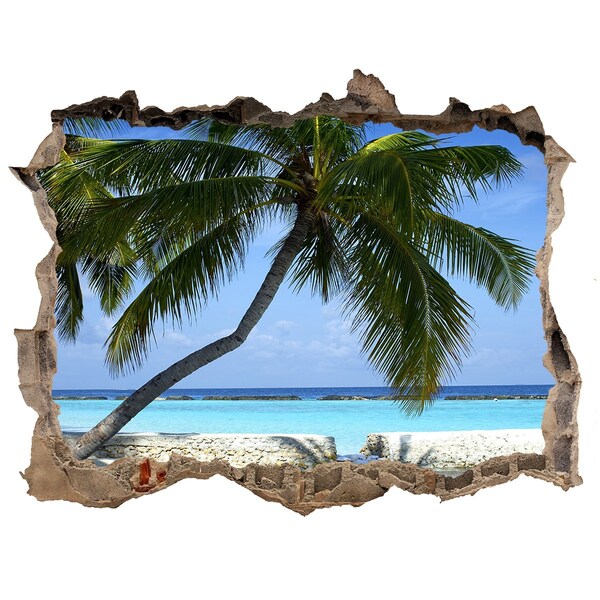 Hole wall sticker Tropical oasis with palm trees