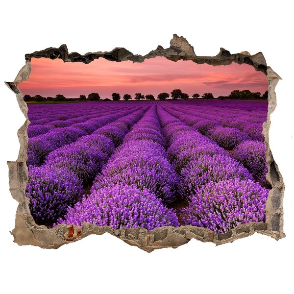 3D wall hole Lavender fields at sunset